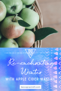 Re-enchanting Winter with Apple Cider Wassail