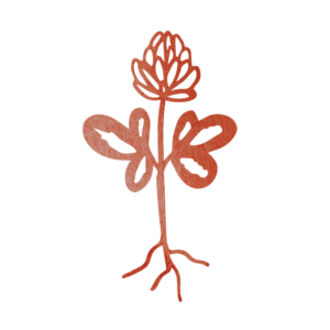 Belonging to a Lineage